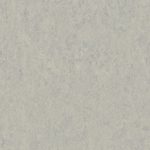 Tarkett Linoleum Veneto 793 Grey.jpg