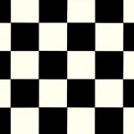 terrana-real-019D
